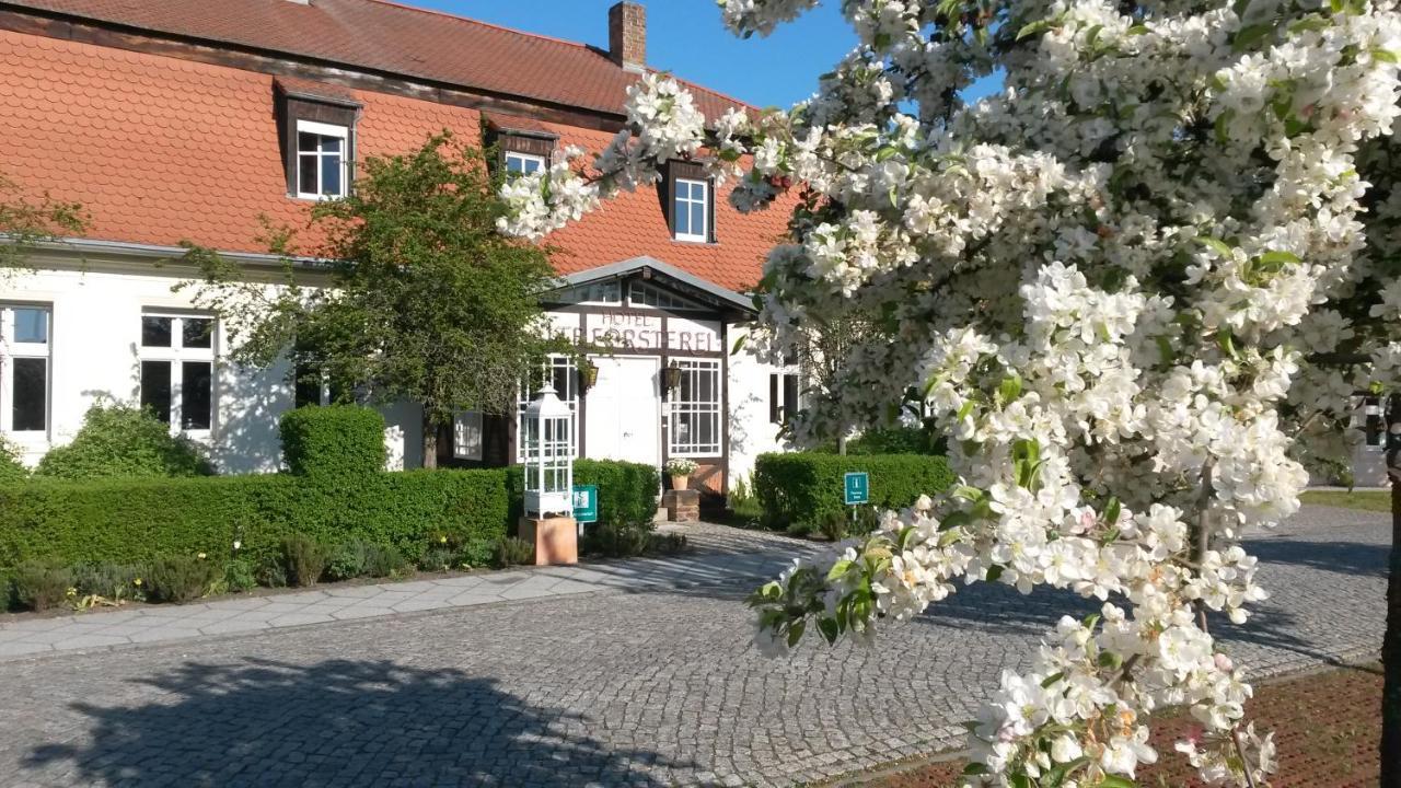 Hotel Alte Foersterei Kloster Zinna Eksteriør billede